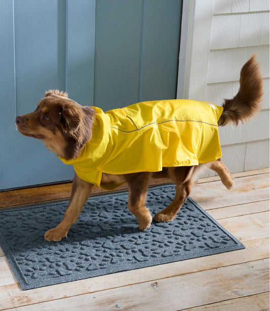 L.L.Bean Exclusive | Discovery Dog Rain Jacket