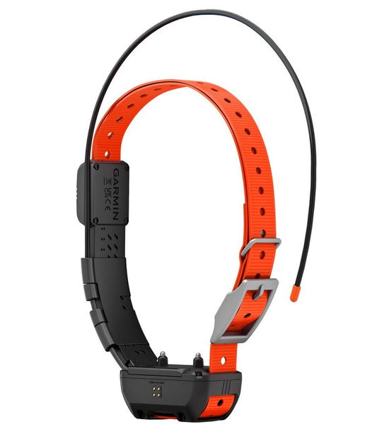 L.L.Bean Best Seller | Garmin Alpha TT25 Dog Collar
